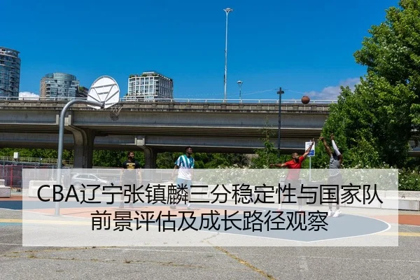 CBA辽宁张镇麟三分稳定性与国家队前景评估及成长路径观察（pg）